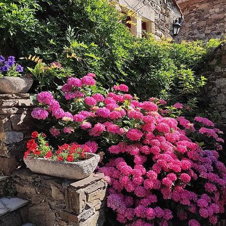 Le Mas De Ribard Breau-et-Salagosse Экстерьер фото